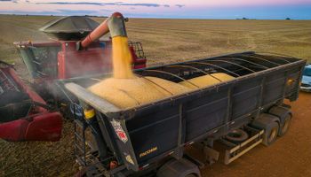 Plano Safra: desembolsos do crédito rural têm queda de quase 24% em cinco meses