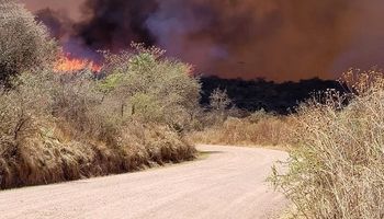 Incendios forestales: cuatro provincias registran focos activos