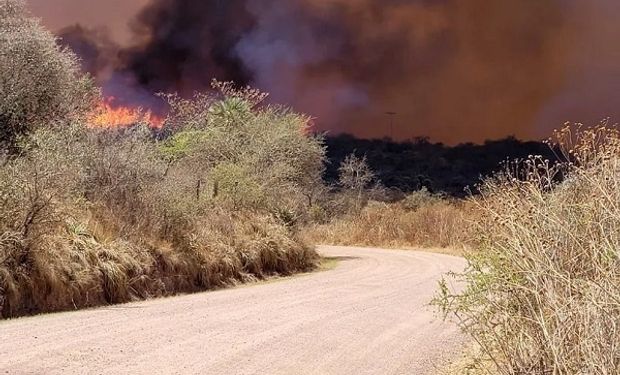 Incendios forestales: cuatro provincias registran focos activos