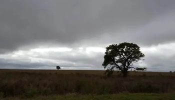 Las zonas que tendrian lluvias los próximos dias: que puede pasar con las temperaturas