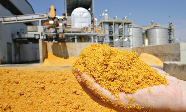 China abre mercado para DDG brasileiro e outros quatro produtos