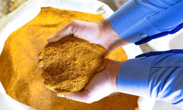 Primeiras cargas de DDGS do Brasil chegam à China e abrem nova frente comercial