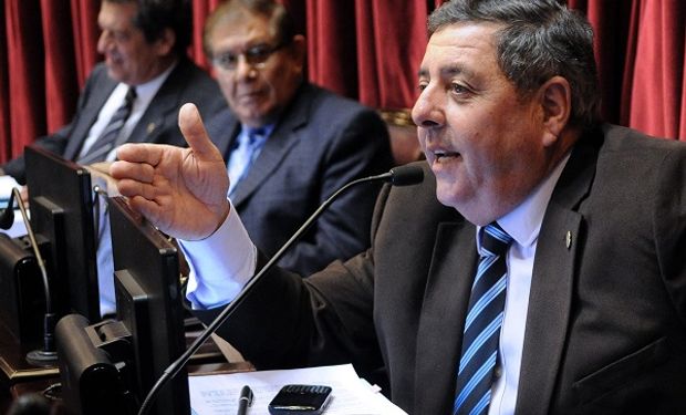 Los reclamos de Alfredo de Angeli a Cafiero en el Senado