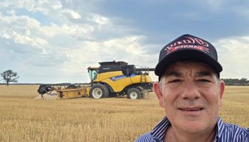 Cuánto se pagó por el primer lote de trigo y la historia del productor que proyecta expandirse hacia la zona del Impenetrable Chaqueño