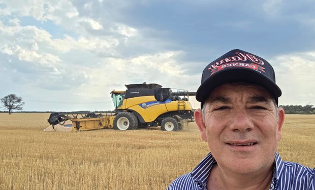 Cuánto se pagó por el primer lote de trigo y la historia del productor que proyecta expandirse hacia la zona del Impenetrable Chaqueño
