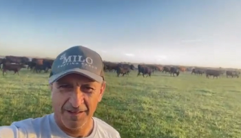 Ramón Díaz tendrá su debut en el mercado ganadero: abre su campo para vender parte de los mejores animales que tiene en Entre Ríos, con 35 toros y 200 vientres