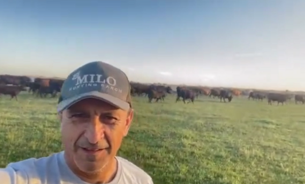 Ramón Díaz tendrá su debut en el mercado ganadero: abre su campo para vender parte de los mejores animales que tiene en Entre Ríos, con 35 toros y 200 vientres