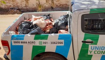 Operativo en carnicerías de Córdoba terminó con 500 kilos de carne decomisados por faena clandestina 