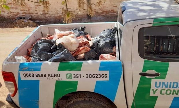 Operativo en carnicerías de Córdoba terminó con 500 kilos de carne decomisados por faena clandestina 