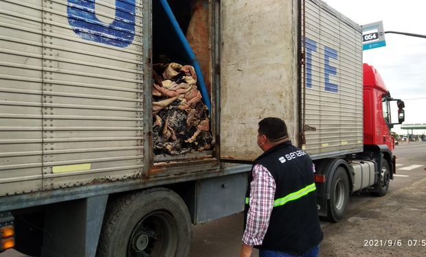 Decomisan cinco toneladas de carne considerada de alto riesgo para la salud pública