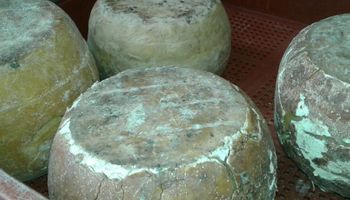 Agroindustria decomisó productos lácteos en el sur de Santa Fe