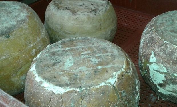 Decomiso de productos lácteos en el sur de Santa Fe.