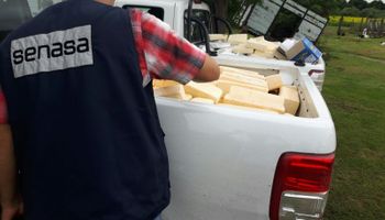 Clausuraron establecimientos lácteos sin habilitación en Córdoba, Santa Fe y Buenos Aires