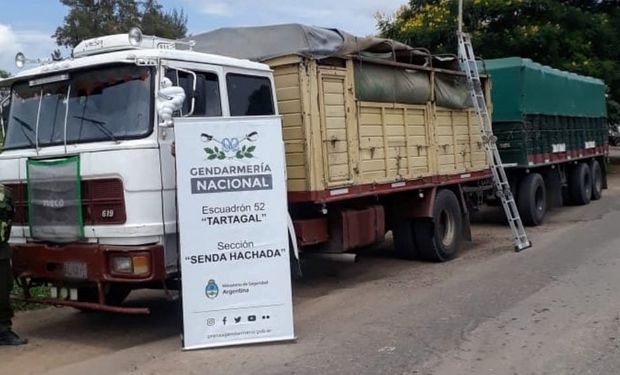 Secuestran más de 100 toneladas de soja y maíz por contrabando