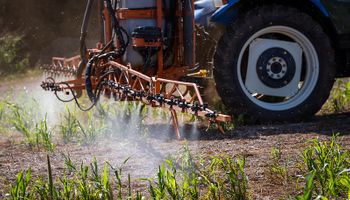 Brasil registra alta de 10,9% na área tratada com defensivos agrícolas em 2024