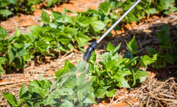 Governo estuda sistema integrado para aprovação de defensivos agrícolas