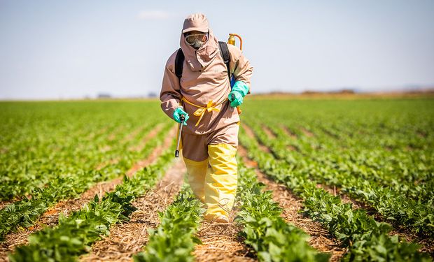 Relatório trouxe os números de 2018, 2019 e 2022  - pesquisa foi suspensa em 2020 e 2021 por causa da pandemia.