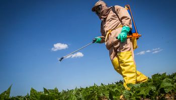 Defensivos: 25% dos vegetais têm resíduos acima do limite