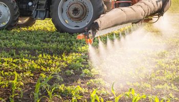 Até 70% das ervas daninhas têm resistência a herbicidas, diz Embrapa