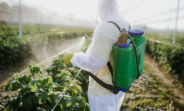 Anvisa anuncia suspensão cautelar do agrotóxico carbendazim