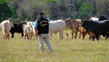 Mapa lança plano que une ações estaduais de defesa agropecuária