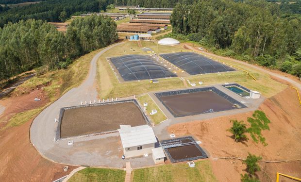 Biodigestores dão destinação adequada a dejetos e, ainda, geram energia limpa, inclusive para veículos. (Foto - Embrapa)