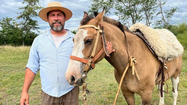 caballos ciudad