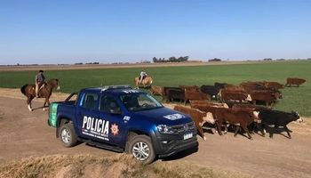 Inseguridad rural: lanzan una plataforma para denunciar de manera virtual