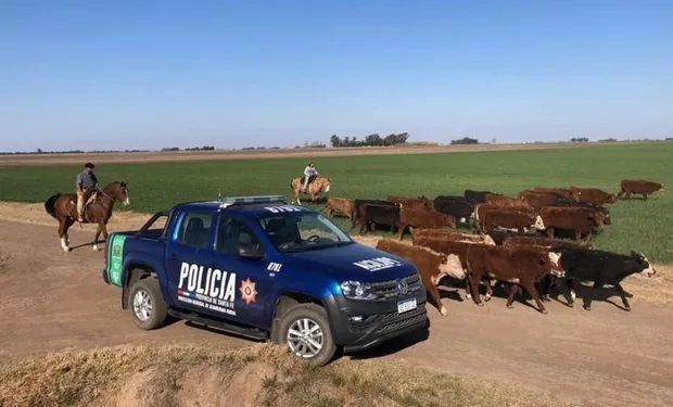 Inseguridad rural: lanzan una plataforma para denunciar de manera virtual