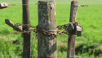Según una entidad, el delito rural es un problema de toda la sociedad: "Las alternativas de fondo están en dar trabajo"