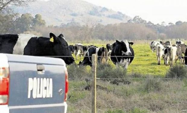 Jornada sobre Delitos Cometidos en Ámbitos Rurales en Tandil.