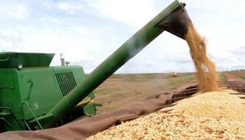 Demanda forte limita queda da soja mesmo com safra recorde no Brasil