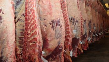 Importancia de la demanda china de carne