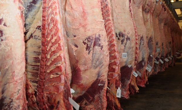 Importancia de la demanda china de carne