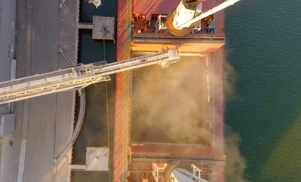 En plena pandemia el mundo demanda trigo argentino: récord de ventas al exterior