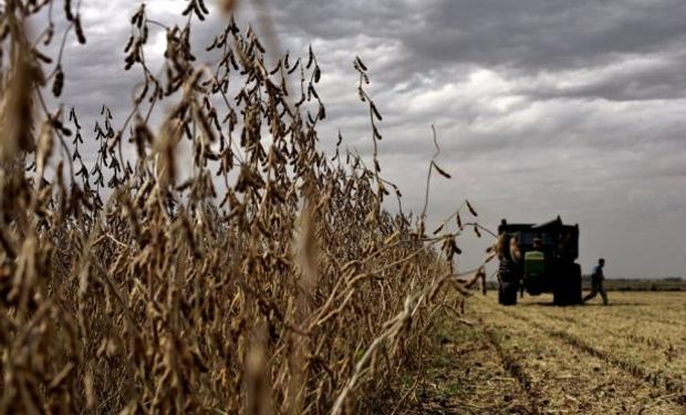 Las lluvias vuelven a interrumpir la cosecha de soja
