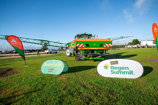 demostraciones regen summit