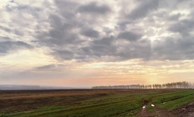 Trigo: el 50 % de la zona núcleo tiene agua suficiente para sembrar tras las lluvias de mayo