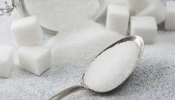 Mercado interno do açúcar retoma vantagem sobre o externo, aponta Cepea