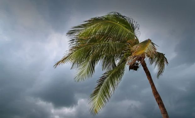 Ciclone na região Sul provoca muitos ventos e quedas intensas na temperatura nesta terça-feira