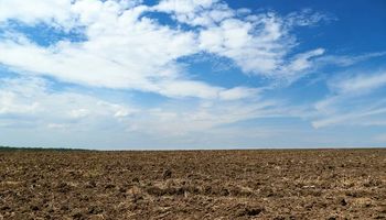¿Cómo están las reservas de humedad en el campo y qué dice el pronóstico del tiempo?
