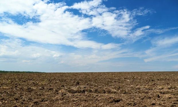 ¿Cómo están las reservas de humedad en el campo y qué dice el pronóstico del tiempo?