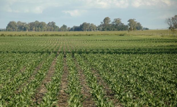 Se trata de un conflicto por deudas contraídas en los años 90 con el Nación que debían pasar a un fideicomiso de la provincia de Buenos Aires.