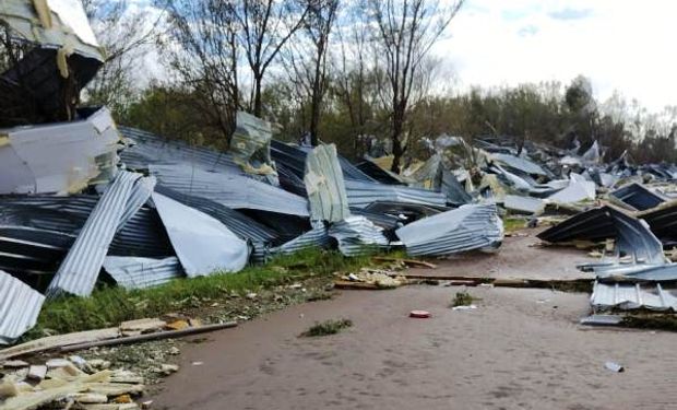 Tormenta y desastre en el sur de Córdoba: piden declarar la emergencia para ayudar a productores afectados