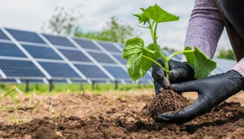 Versátil e acessível, energia solar traz mais autonomia a pequenos e grandes agricultores