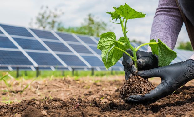 Versátil e acessível, energia solar traz mais autonomia a pequenos e grandes agricultores