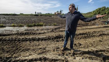 El gigante que impone miedo y desplomó la confianza de los farmers