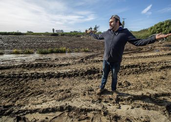 El gigante que impone miedo y desplomó la confianza de los farmers