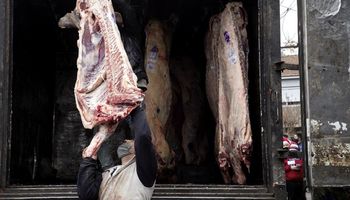 Troceo: los frigoríficos exportadores criticaron la prórroga y tildaron al sistema de “arcaico”