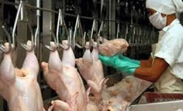 En 10 años, el consumo avícola aumentó el 122%
